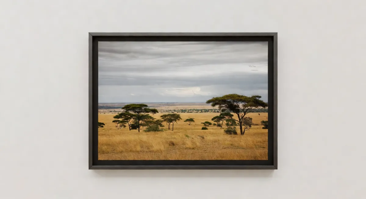 Art Photography Gallery Exhibition Ideas for African Culture